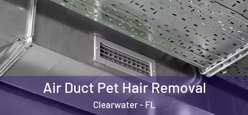 Air Duct Pet Hair Removal Clearwater - FL