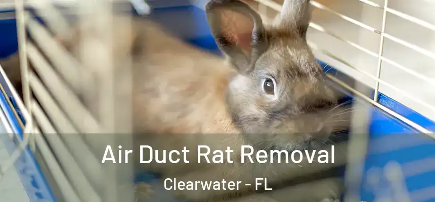Air Duct Rat Removal Clearwater - FL