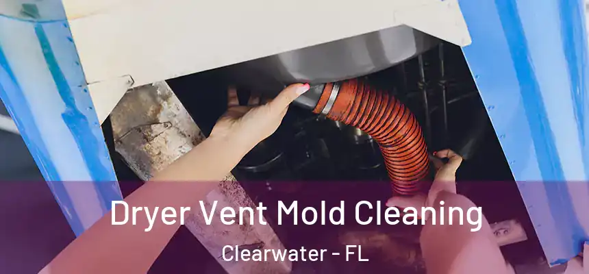 Dryer Vent Mold Cleaning Clearwater - FL