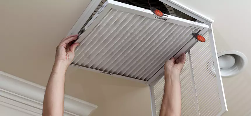 Preventive Cockroach-Proofing for Ducts in Clearwater