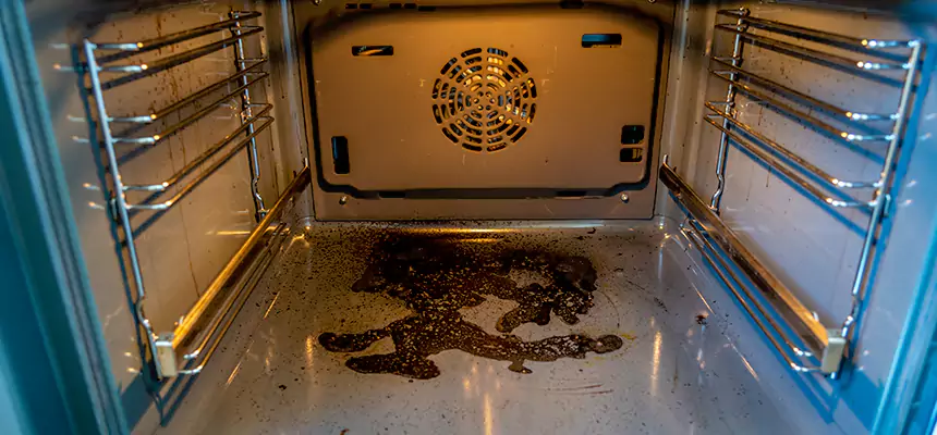 Our Dryer Vent Mold Cleaning Services in Clearwater, FL