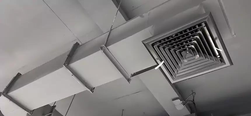 Our Pest Removal From Ducts Services in Clearwater, FL