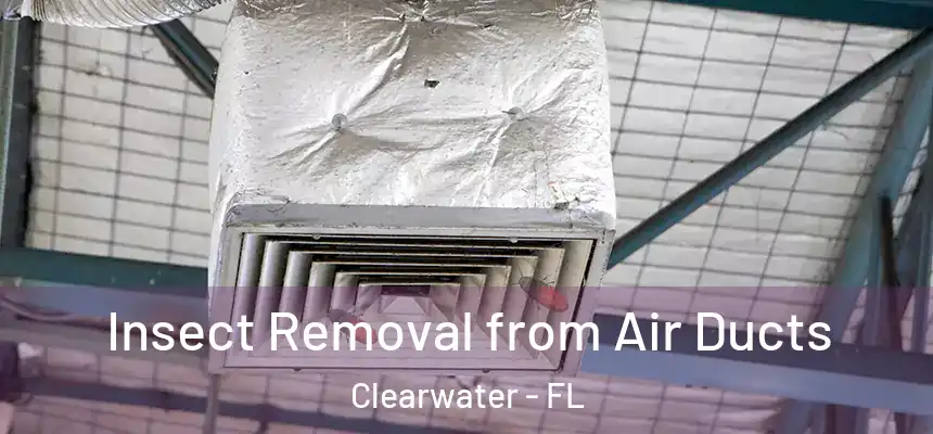 Insect Removal from Air Ducts Clearwater - FL