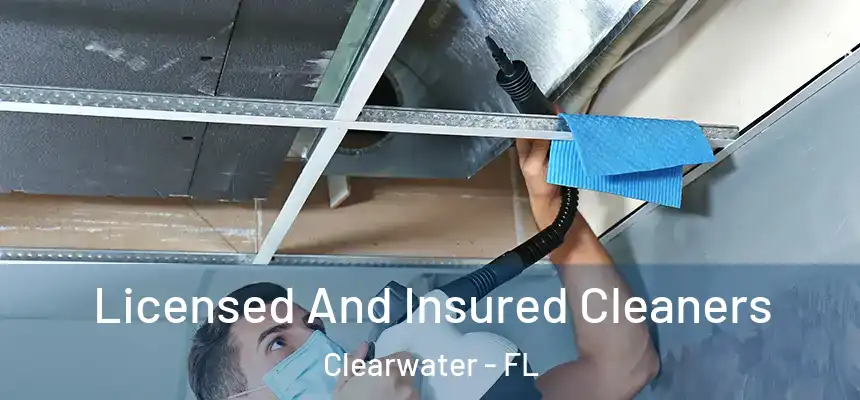  Licensed And Insured Cleaners Clearwater - FL