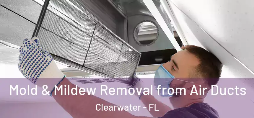 Mold & Mildew Removal from Air Ducts Clearwater - FL