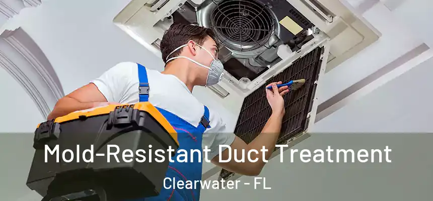 Mold-Resistant Duct Treatment Clearwater - FL