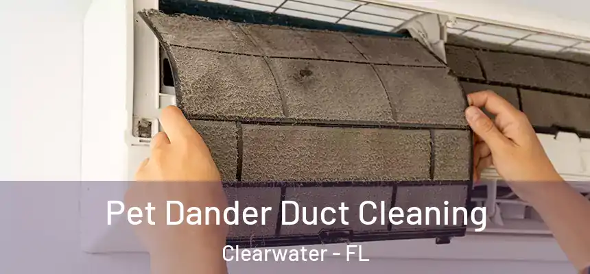 Pet Dander Duct Cleaning Clearwater - FL