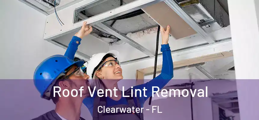 Roof Vent Lint Removal Clearwater - FL