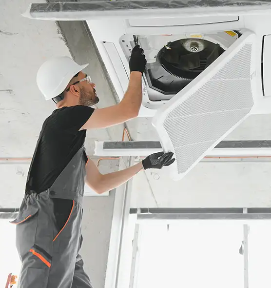 About Air Duct Rodent Removal in Clearwater, FL