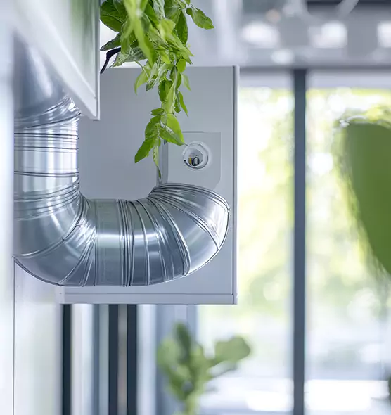 Professional Eco-Friendly Duct Cleaning Services in Clearwater, FL