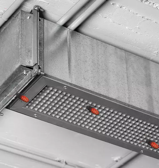 Affordable Insect Removal from Air Ducts in Clearwater, FL