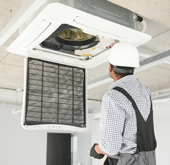 Why Homeowners & Businesses Trust Us in Clearwater, FL?