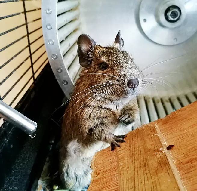 Why Homeowners & Businesses Trust Us Clearwater, FL?