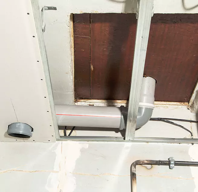 Why Homeowners & Businesses Trust Us in Clearwater, FL?