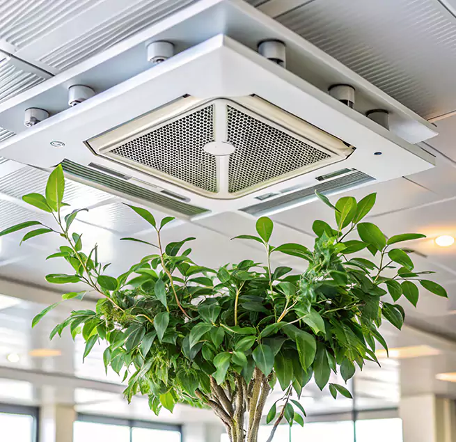 Why Homeowners & Businesses Trust Us in Clearwater, FL?