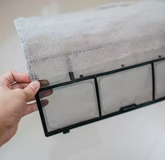 Why Homeowners & Businesses Trust Us in Clearwater, FL?