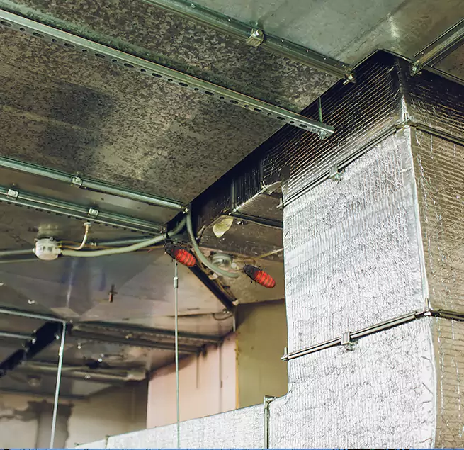 Why Homeowners & Businesses Trust Us Clearwater, FL?