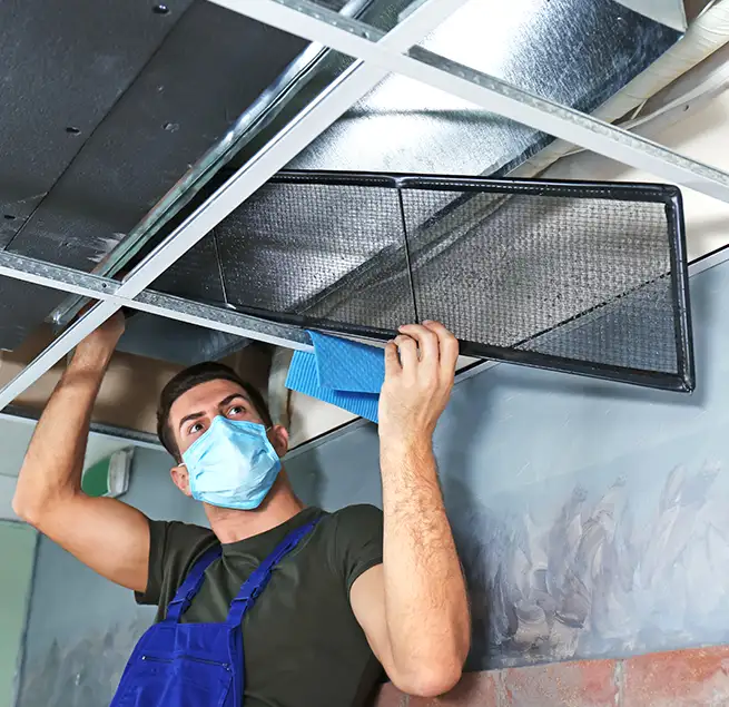 Why Homeowners & Businesses Trust Us in Clearwater, FL?