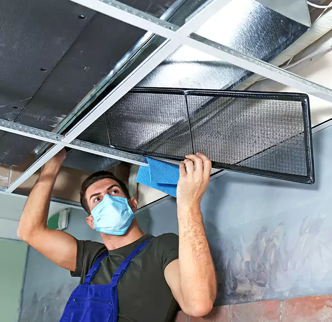 Why Homeowners Businesses Trust Us in Clearwater, FL