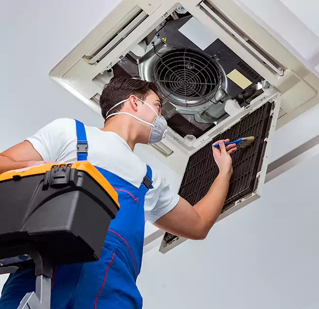 Why Homeowners & Businesses Trust Us in Clearwater, FL?